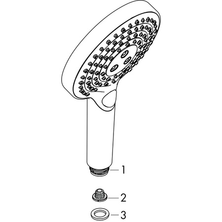 Душевая лейка Hansgrohe Raindance Select S 120 3jet PowderRain 26014340, шлифованный черный хром