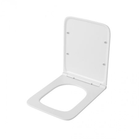 Крышка с сиденьем для унитаза OWLT190203 Eter Ruta-H DP микролифт, OWLC19-004