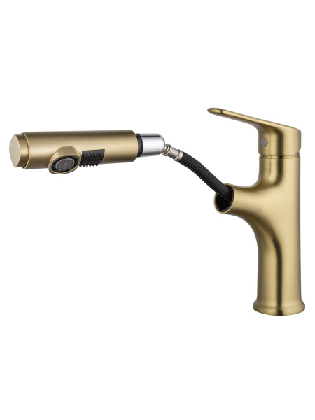 Смеситель для раковины с выдвижным изливом WONZON & WOGHAND, брашированное золото WW-AE4151-BG