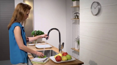 Смеситель для кухни Hansgrohe Focus 31815000