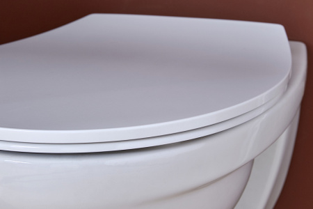 Унитаз подвесной безободковый  Jacob Delafon Patio Rimless EDV102-00 без сиденья