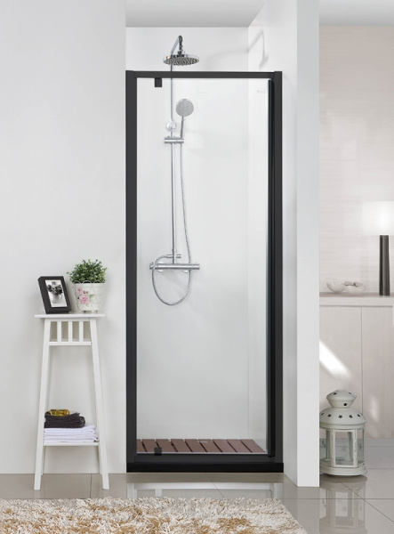 Душевая дверь Bravat Blackline BD100.4111B