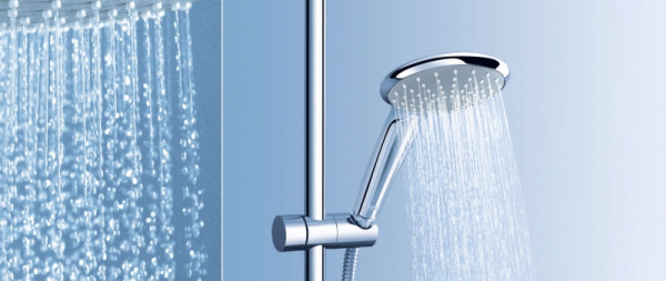 Ручной душ Duo Grohe Euphoria 27220 000 (27220000)