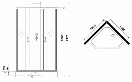 Душевая кабина (100х100) Grossman Elegans GR250D раздвижная, черный, прозрачный