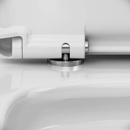 Унитаз напольный безободковый Am.Pm Func C85C8601SC, с сиденьем микролифт