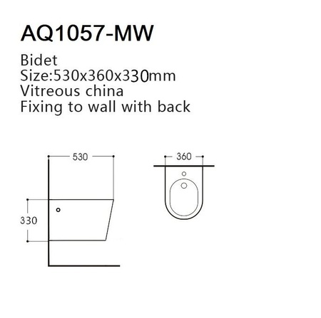 Подвесное биде Aquatek Вега AQ1057-MW