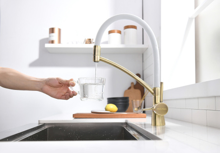 Смеситель для кухни с подключением к фильтру  Paulmark Siеgen Si213111-BrW