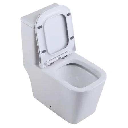 Унитаз напольный безободковый SantiLine SL-5024
