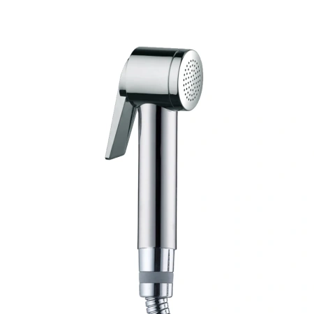 Гигиеническая лейка Bossini Paloma B00462.030 хром