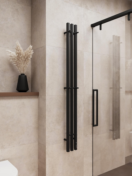 Электрический полотенцесушитель (160х15,6) Terminus TRES 4670078575524 черный матовый