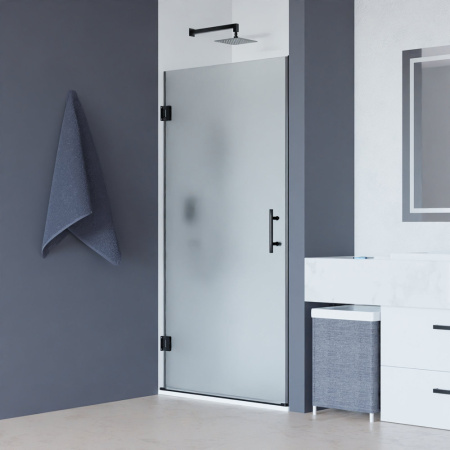 Душевая дверь 80 см RGW Hotel HO-011-B 350601108-24 матовое