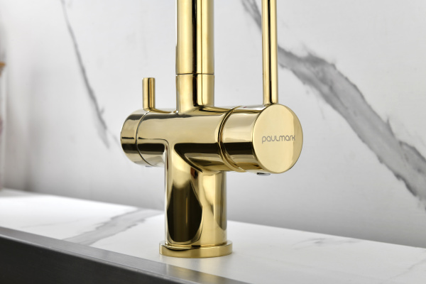 Смеситель для кухни с подключением к фильтру  Paulmark Serpentine Se213222-G