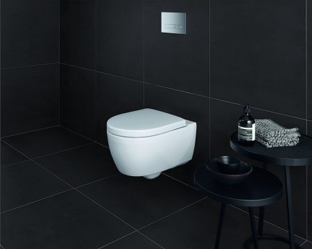 Унитаз подвесной безободковый Geberit iCon 204060000