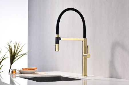 Смеситель для кухни Paulmark Leader Le214101-SBG
