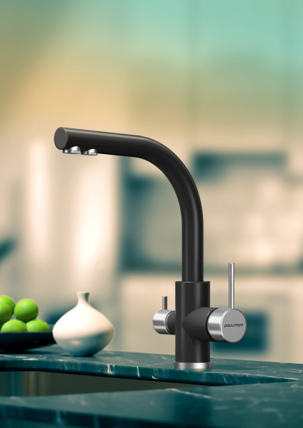 Смеситель для кухни с подключением к фильтру  Paulmark Essen Es213011-401 Смеситель для кухни с подключением к фильтру  Paulmark Essen Es213011-401