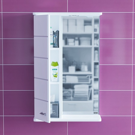 Зеркальный шкаф (50х76)  СаНта Омега 50  107001