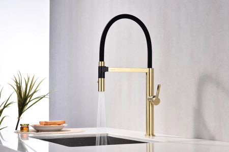 Смеситель для кухни Paulmark Leader Le214101-SBG