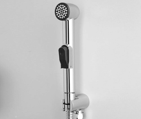 Гигиеническая лейка WasserKRAFT A043
