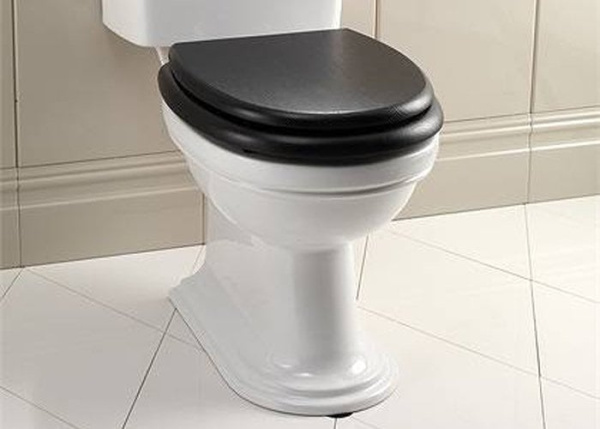 Унитаз Devon&Devon Rose IBWCROSE