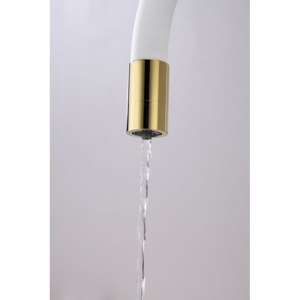 Смеситель для кухни с подключением к фильтру  Paulmark Salix Sa213419-Gw