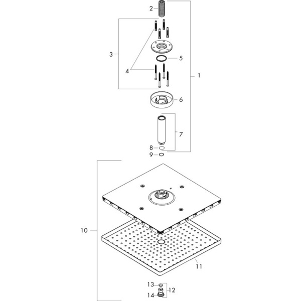 Верхний душ с кронштейном Hansgrohe Raindance E 300 1jet 26250000 хром