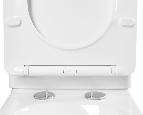 Приставной безободковый унитаз Aquatek АМАДЕО  AQ1964-00 микролифт