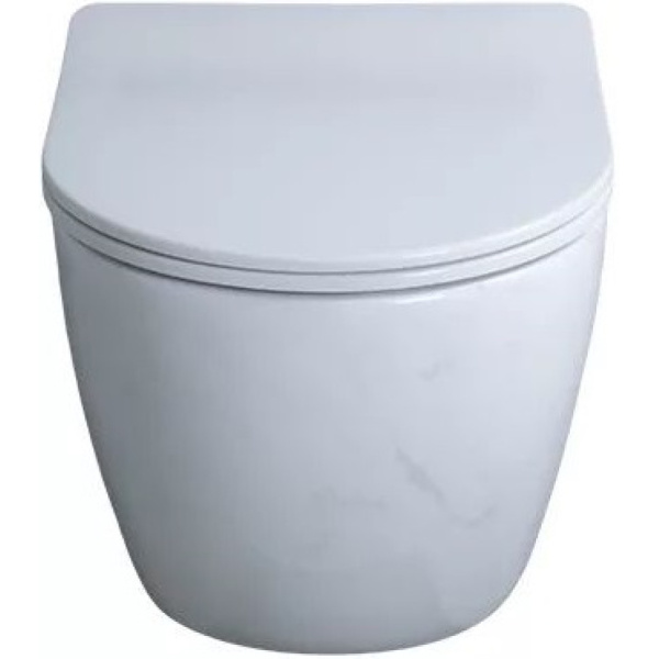 Подвесной унитаз безободковый Ws2198 (СС) под камень