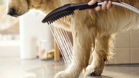 Ручной душ для мытья собак Hansgrohe DogShower 26640670 черный матовый