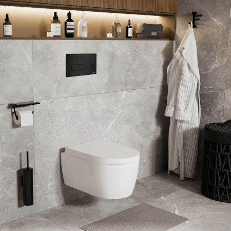 Инсталляция для унитаза WasserKraft Dill 61 61TLT.010.ME.MB03