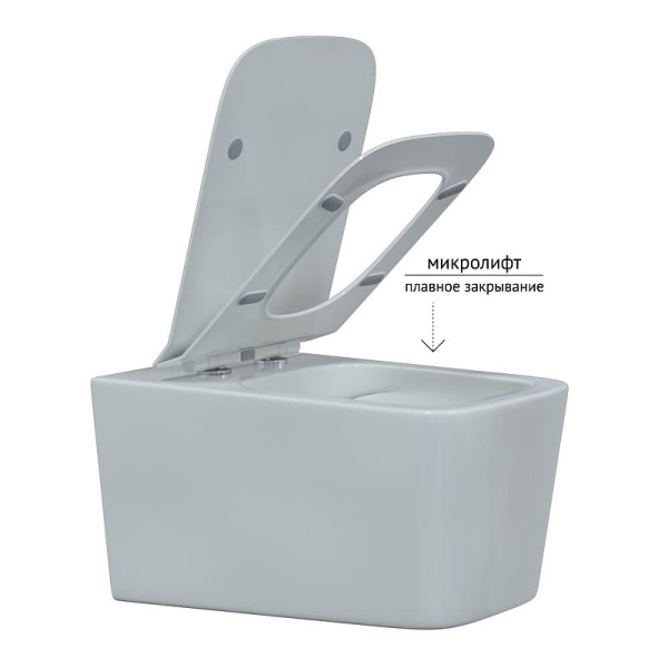 Унитаз Berges Wasserhaus Floe Rimless 082121