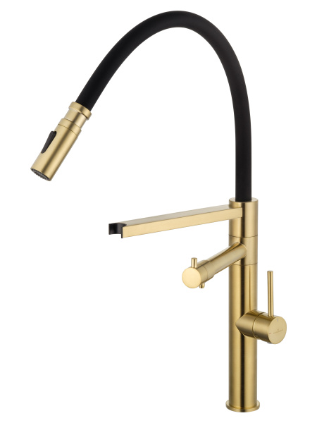 Смеситель для кухни с гибким изливом и подключением фильтра WONZON & WOGHAND, брашированное золото WW-88458007-BG