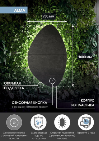 Зеркало с подсветкой (70x100) Continent Alma ЗЛП613