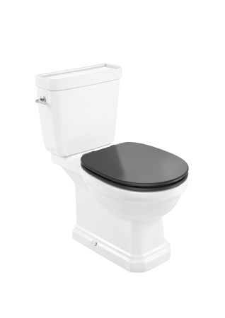 Крышка для чаши Roca Carmen Soft Close, supralit, темно-серая 801B5238B