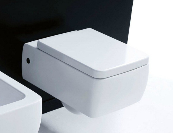 Сиденье с крышкой для унитаза Kerasan Ego 328801 микролифт