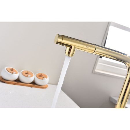 Смеситель для кухни с подключением к фильтру  Paulmark Urban Ur213104-G