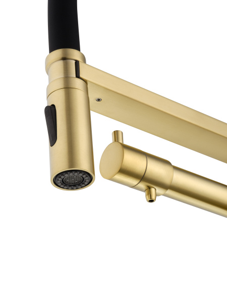 Смеситель для кухни с гибким изливом и подключением фильтра WONZON & WOGHAND, брашированное золото WW-88458007-BG