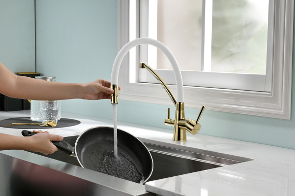 Смеситель для кухни с подключением к фильтру  Paulmark Siеgen Si213111-GW