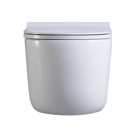 Унитаз подвесной безободковый Art&Max Verona AM012CHRT/SC микролифт