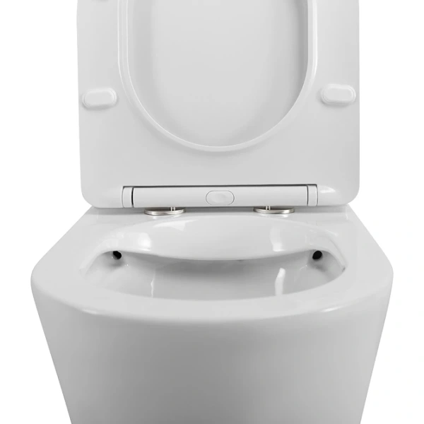 Унитаз напольный безободковый BelBagno FLAY-R BB2149CPR/SC/BB2149T