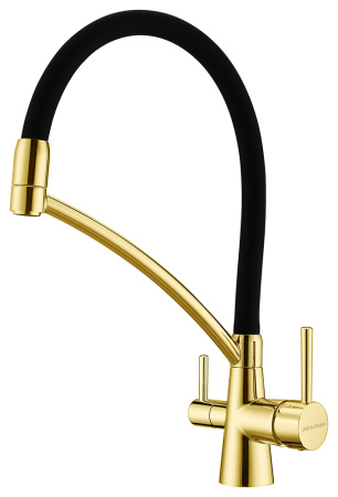 Смеситель для кухни с подключением к фильтру  Paulmark Siеgen Si213111-G