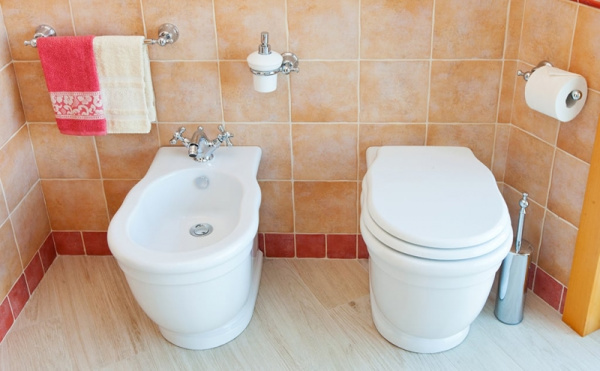 Унитаз приставной ArtCeram Hermitage HEV005 01;00(P) без сиденья