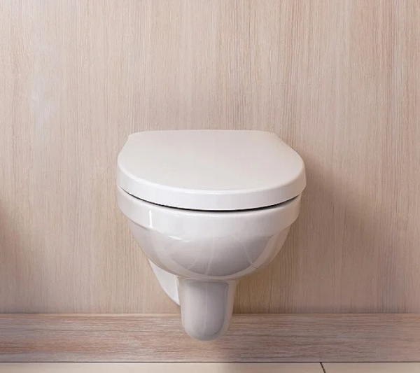 Унитаз подвесной безободковый  Jacob Delafon Patio Rimless EDV102-00 без сиденья