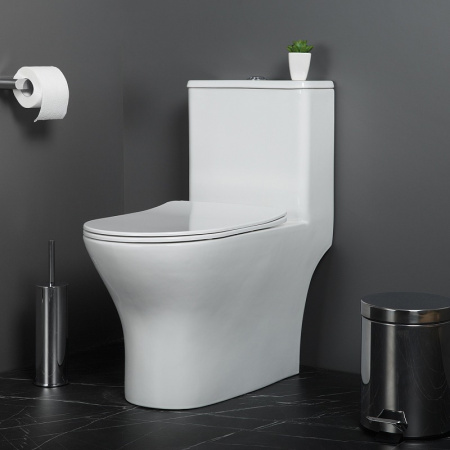 Унитаз напольный BelBagno Lounge BB8618CPR-MN/SC