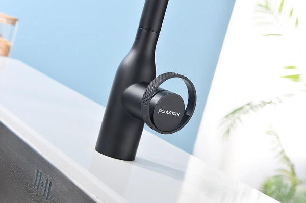 Смеситель для кухни с подключением к фильтру  Paulmark Urban Ur213104-401