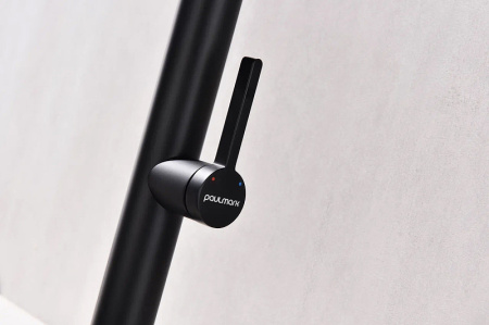 Смеситель для кухни Paulmark Leader Le214101-401