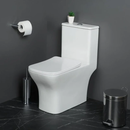 Унитаз-компакт BelBagno Neon BB8617CPR-MN/SC безободковый, с сиденьем микролифт, белый