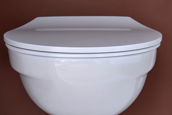 Унитаз подвесной Jacob Delafon Patio E4187-00 без сиденья