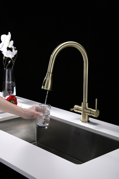 Смеситель для кухни с подключением к фильтру  Paulmark Lange La214212-BR