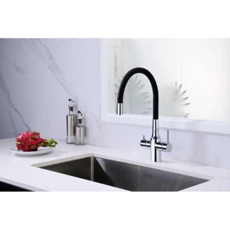 Смеситель для кухни с подключением к фильтру  Paulmark Salix Sa213419-CR