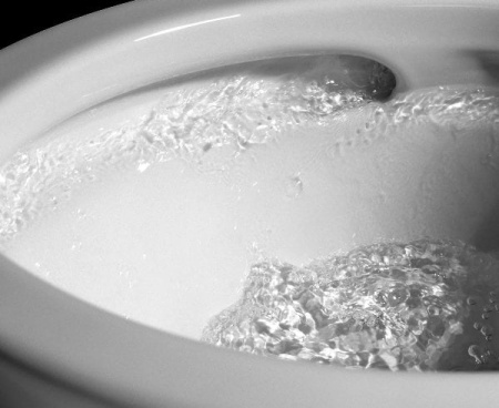 Унитаз TOTO MH + Washlet F3D (CW162+TCF4732)